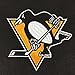 NHL Pittsburgh Penguins Dynasty Banner