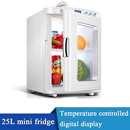 Amazon.es: 25-L Nevera Electrica PequeñA Nevera Portatil 12V/220 ...