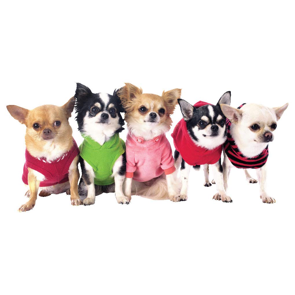 Voxloud Com Azutura Chien Chihuahua Sticker Muraux Chiwawa Puppy Animal Autocollant Mural Decor De Chambre A Coucher Pour Enfants Disponible En 8 Tailles Tres Petit Numerique Ameublement Et Decoration Decoration Murale Voxloud Com Azutura Chien Chihuahua Sticker Muraux Chiwawa Puppy Animal Autocollant Mural Decor De Chambre A Coucher Pour Enfants Disponible En 8 Tailles Tres Petit Numerique Ameublement Et Decoration Decoration Murale