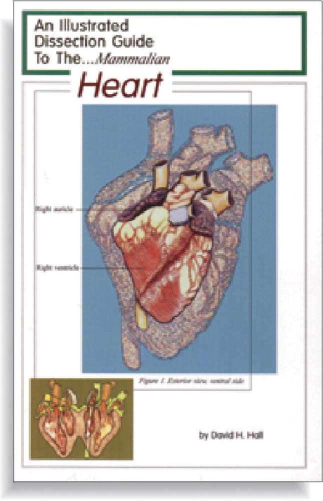 Amazon Com Frey Scientific 597045 Mini Guide To Mammalian Heart Dissection Industrial Scientific