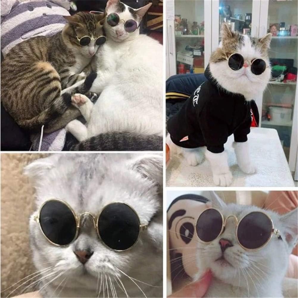 Sonnenschutz Hund Hundesonnenbrille Hundebrille Augenschutz Gläser für