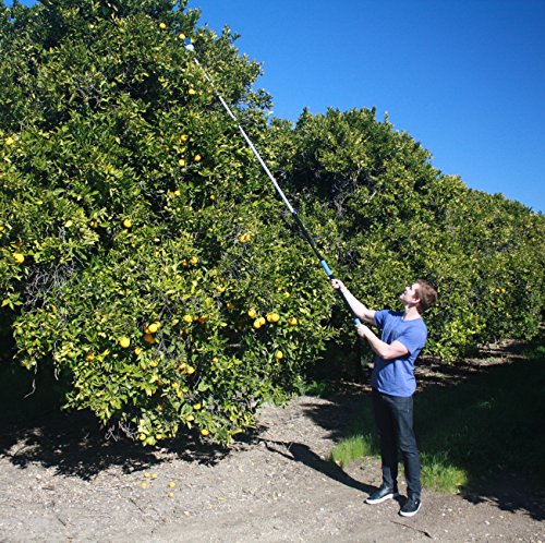 4 Eversprout+Preassembled+Lightweight+High+Grade+Extension