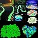 Glow Roxx - 100 Pcs (Blue) of Glow in the Dark Rocks Perfect Accent Pebbles for your Driveway, Pathway, Wedding Favors and Decorative Fairy Garden - As seen on Pinterest and Instagram …