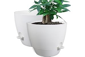 UOUZ 12inch 2Pack Large Self Watering Planters, Plastic Plant Pots with 60oZ Removable Deep Reservoir and Multi Mesh Drainage Holes for Indoor Outdoor Garden Plants and Flowers, White