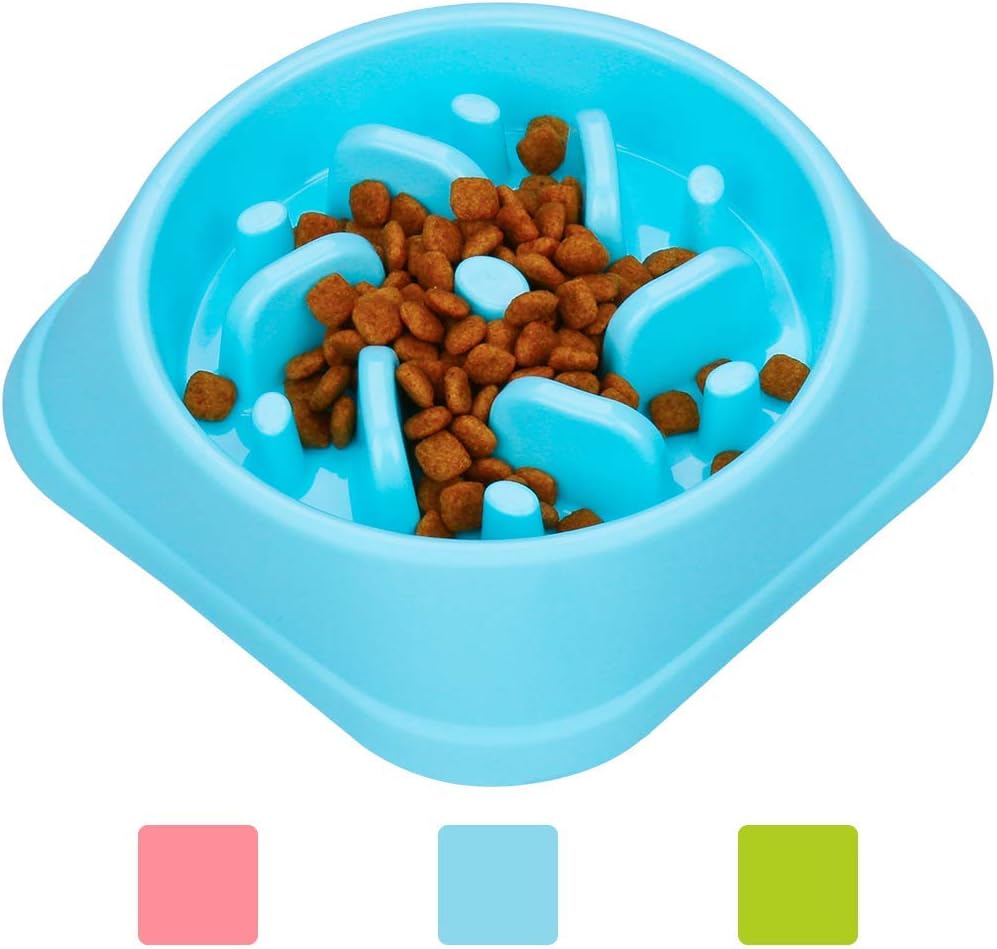 dog feeding puzzle bowl