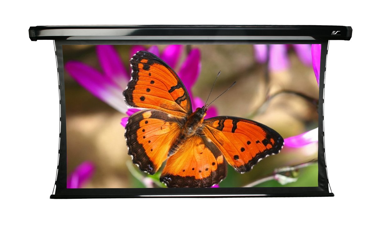 Elite Screens TE120HG2 CineTension2 Electric