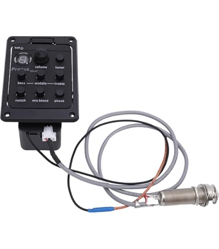 Amazon.com: EBS Stanley Clarke Signature Acoustic Preamp : Musical