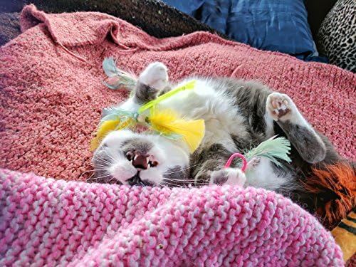 Neon Hair Ties Cat Toys / Optional Catnip, Valerian, Silver Vine, Bells