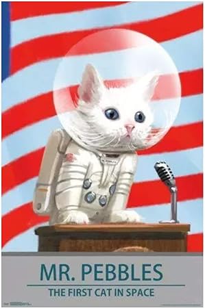 Amazon Com Unfix Fallout 4 Mr Pebbles Video Game Space Cat Poster Pictures Canvas Prints Wall Art Canvas Painting For Home Decor 50x75cm No Frame 1 Pcs Everything Else