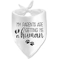 My Parents are Getting Me a Human Dog Pregnancy Announcement Bandana Pregnancy Dog Bandana for Dogs Pet Accessories for Dog Lovers Pregnancy Reveal Ideas