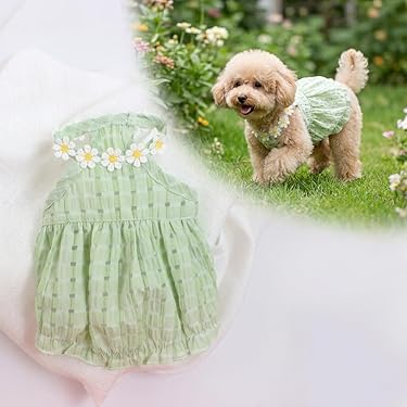 Amazon.com New Releases: The best-selling new & future releases in Dog  Dresses