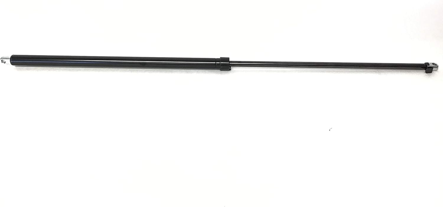 nordictrack walking sticks