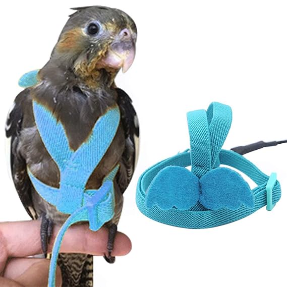 Outgeek Bird Harness and Leash Set Lovely Cockatiels Harness with Leash