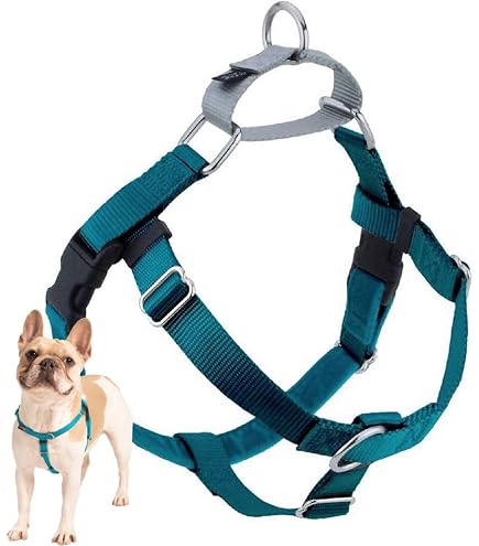 Amazon.com : 2 Hounds Design Freedom No Pull Dog Harness and Leash