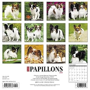 Just Papillons 2018 Wall Calendar (Dog Breed Calendar)