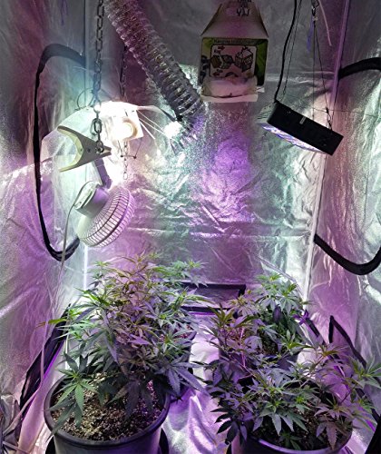SHINE HAI Grow Tent 48"x48"x80" Mylar Hydroponic Growing Tent with Observation Window, Removable Floor Tray for Indoor Plant Growing 4'x4', Fruits Flowers Vegetables Growing - Thumbnail 7