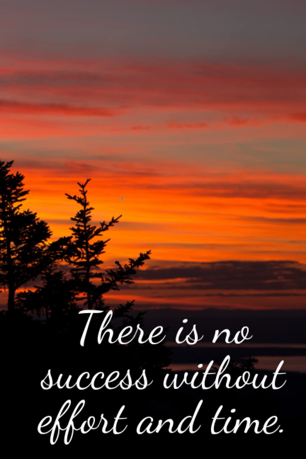 There is no success without effort and time.: Daily planner, Day planner, Motivational notebook, Inspirational notebook, Goal setting notebook, ... Gratitude notebook, Daily reminder notebook