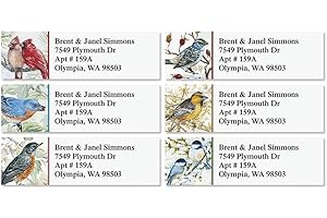 Colorful Images Garden Friends Birds Return Address Mailing Labels, Personalize with Name & Addresses, Set of 240 Self Adhesi