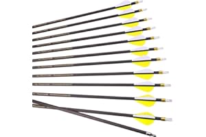 6/12pc Custom Length Carbon Arrows Spine 300 350 400 500 600 700 800 Removable Tips 2" Vane Plastic Fletching Targeting Hunti
