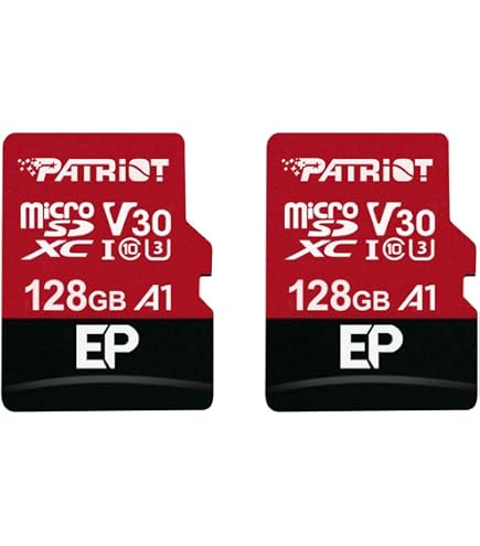 MICRO SDXC EMTEC 64GB CLASS 10 GOLD + CON ADATTATORE ECMSDM64GXC10GP