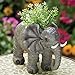 Bits and Pieces - Elephant Garden Planter - Decorative Indoor or Outdoor Safari Plant Holder
