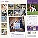 Magnet & Steel 2017 Bull Terrier Calendar, Traditional Wall Calendar