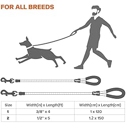 Taglory Rope Dog Leash 5 FT with Comfortable Padded