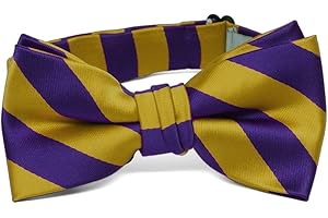 tiemart Boys' Striped Bow Tie
