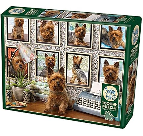 homemade dog cake recipes