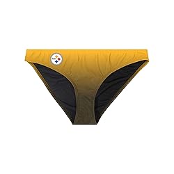 FOCO Pittsburgh Steelers NFL Womens Gradient Big