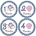 Mermaid Monthly Baby Stickers, Girls Bodysuit Stickers Infant Month Stickers, Great Shower Excellent Baby Photo Props, 12 Pieces