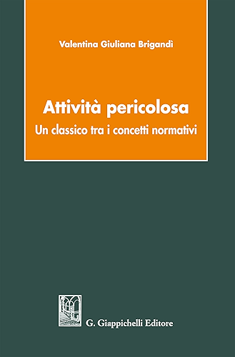 Download Attività pericolosa: un classico tra i concetti normativi (Italian Edition) PDF