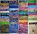 Lot of 100pcs Batik Quilt Blocks, Cotton Fabric Charm Pack, 5