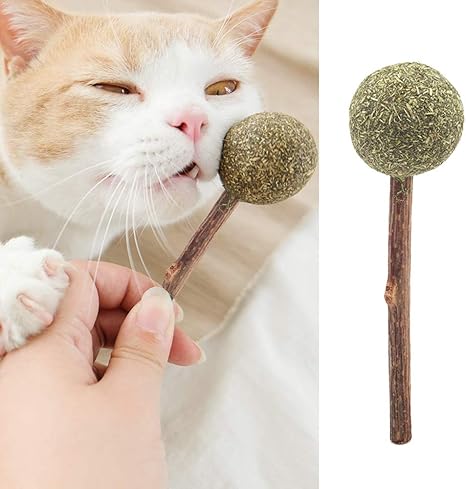Amazon Co Jp 猫おもちゃ またたび ボール 猫用品 猫キャットニップ 薄荷ボール ミントボール 猫用おもちゃ 舐める飴 猫遊び用 歯のクリーニング スティック Ryoizen ホーム キッチン