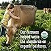 Organic Valley, Organic Whole Milk, Pasteurized Gallon, 128 ounces