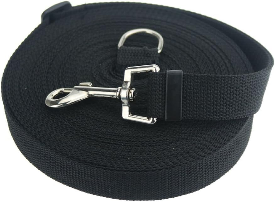 25 foot leash