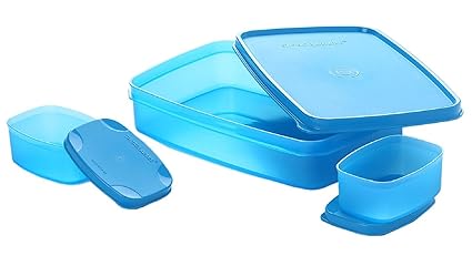 signoraware compact lunch box with bag