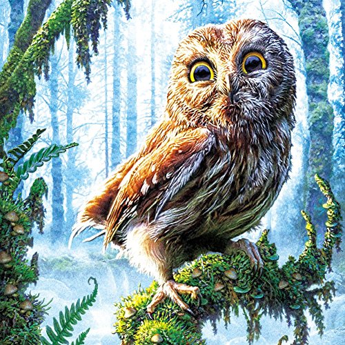 Chinatera 5d DIY Diamond Owl Resin Counted Paint By Number Kits Wall Sticker 3535cm