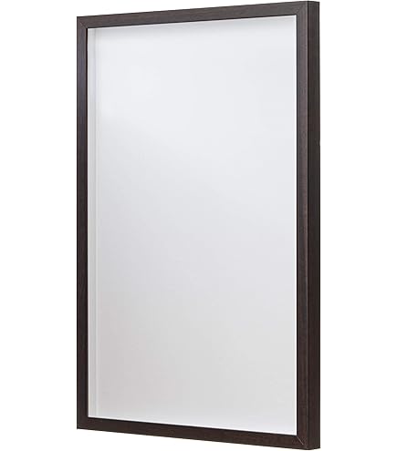 Amazon.com - 24x36 Shadow Box Frame Walnut Brown | 1