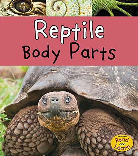Reptile Body Parts (Animal Body Parts) Reptile Body Parts (Animal Body Parts)