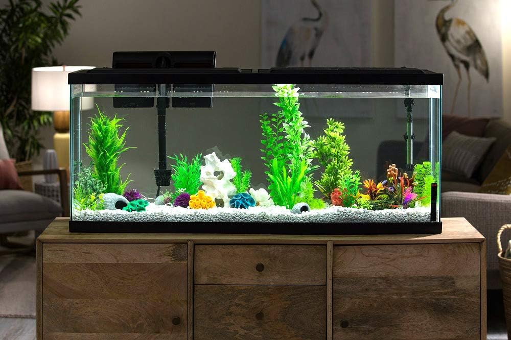 55 gallon starter kit