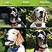 Dog Bark Collar For Small Medium and Large Breeds by Wrooof - Best For Excessive Barking, Adjustable Sound and Vibration, Extra Safe And Humane Anti Bark Training Device - No Shock No Spiky Prongs