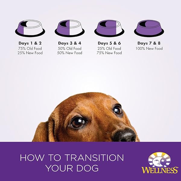 WELLNESS PETITE ENTREES CASSEROLE GRAIN FREE CASSEROLE TENDER CHICKEN NATURAL WET DOG FOOD, 3-OUNCE CUP