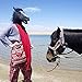Horse Mask Party Dress Up Horse Head Masks for Adults Men Masquerade (Black)
