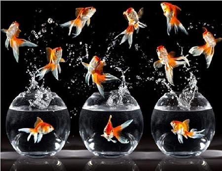 Amazon 1000ピース ジグソーパズル 金魚が水槽から飛び出す スペシャルアートコレクション 50x75cm ジグソーパズル おもちゃ
