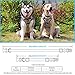 BABYLTRL Silver Big Dog Harness No-Pull Anti-Tear Adjustable Pet Harness Reflective Oxford Material Soft Vest for Medium Large Dogs Easy Control Harness (XL, Silver)