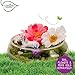 Creative Roots Unicorn Terrarium Garden by Horizon Group USA