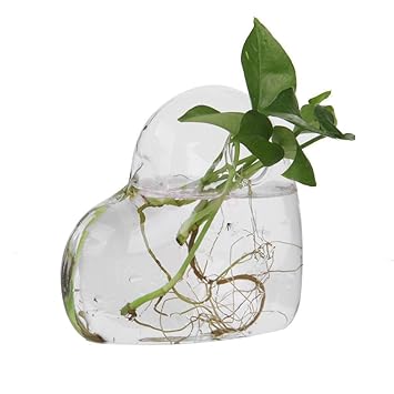 Buy Slb Works Heart Shaped Glass Flower Vases Home Garden Wedding