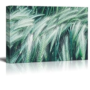 Canvas Wall Art - Green Wheats - Giclee Print Gallery Wrap Modern Home Art Ready to Hang - 12" x 18"