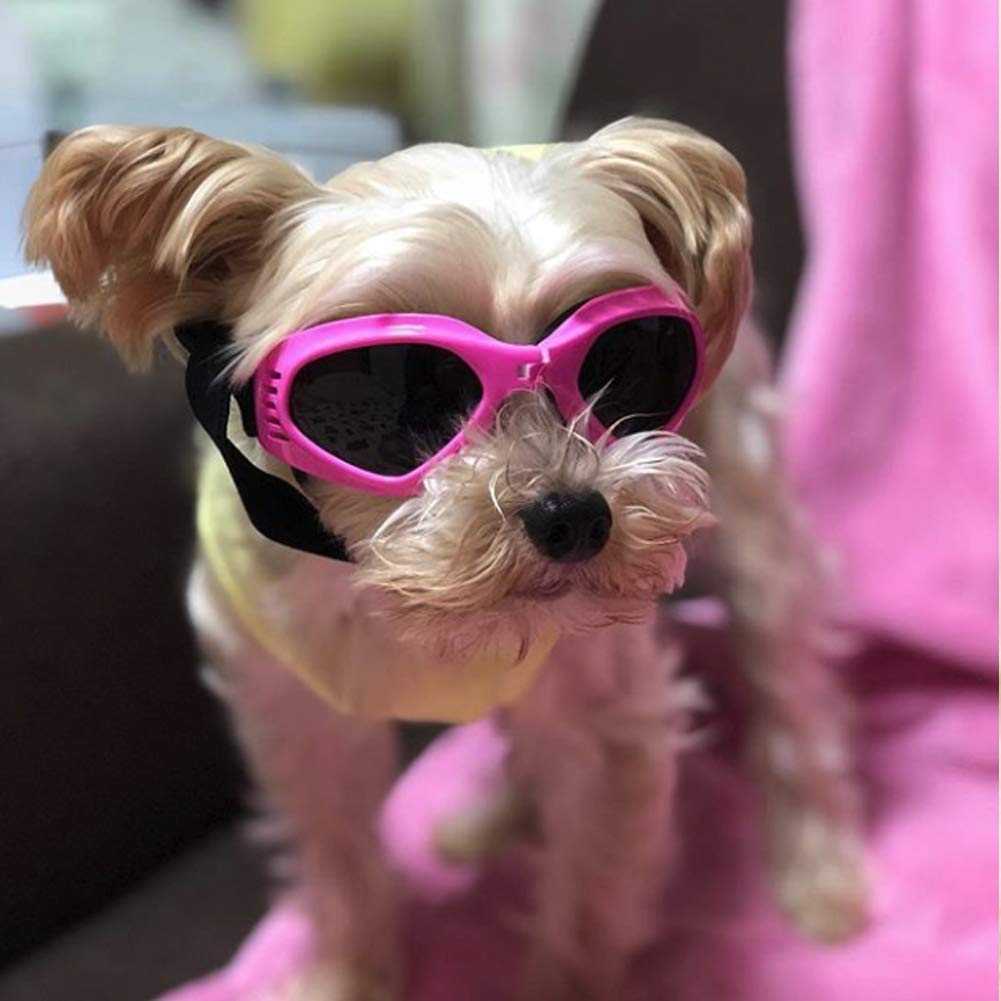 petleso dog goggles